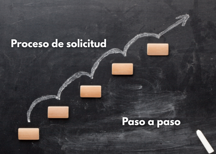 Proceso paso a paso de solicitud (subastas públicas)